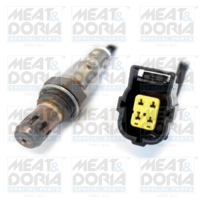 Oxygen Sensor